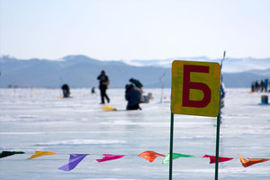 IMG_1119.jpg