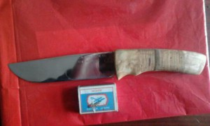 IMG063-1.jpg