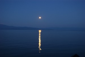 DSC01235.JPG