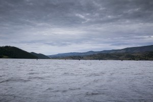 37_1200px.jpg