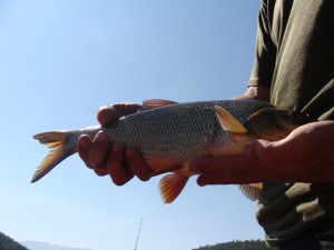 DSC01055.JPG