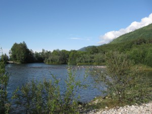 IMG_1463.jpg