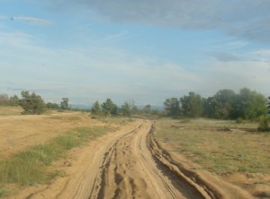 DSC01133.JPG