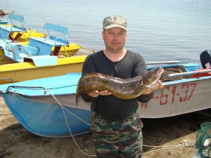 Копия DSC06.JPG