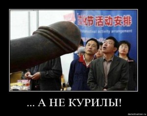 1323881317_8jnuqn6nhkjv.jpg