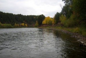 Лена 010.jpg