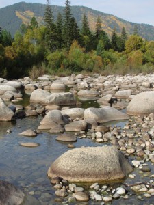 осенний пейзаж.jpg