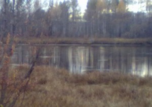 Рыбалка на Лене,Осень 2012г. 008.jpg