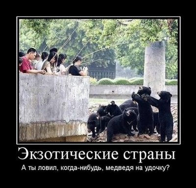 demotivator042.jpeg