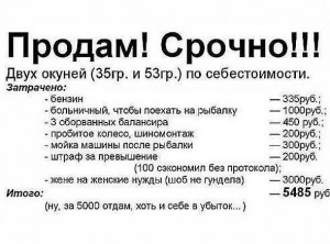 рыба.jpeg