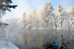 DSC_2949.jpg