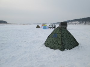 Соседи.JPG