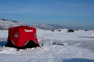 IMG_3916.jpg