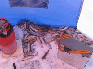 IMG_4940.JPG