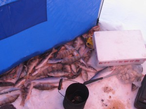 IMG_4941.JPG