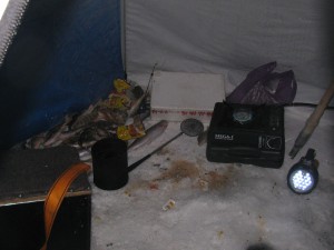 IMG_4947.JPG