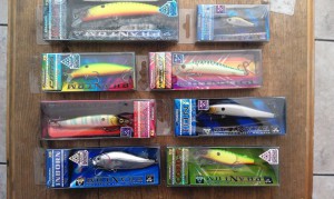 IMAG0810.jpg