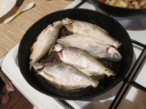 Жареная сопа.JPG