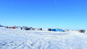 IMG_0129.jpg