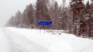 IMG_03038888.jpg