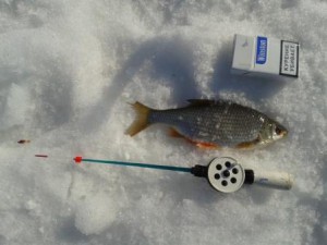 20130406_171635.jpg