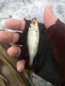 IMG_20130411_190508.jpg