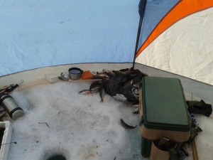 20130413_145953.jpg