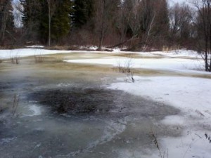2013-04-15 16.10.10.jpg