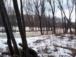 2013-04-15 16.10.20.jpg