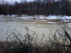 2013-04-15 16.11.43.jpg