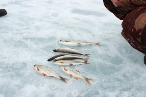 IMG_8163.JPG