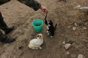 IMG_8174.JPG