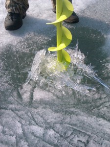 IMG_20130501_172339.jpg