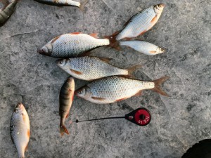 IMG_20130501_190850.jpg
