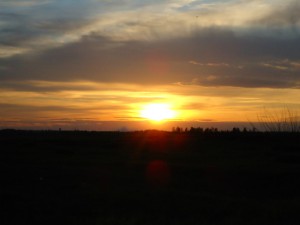 DSC00898.JPG
