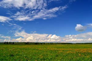 DSC_1314.JPG