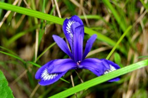 DSC_1353.JPG