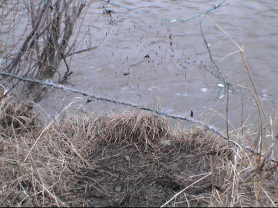 06.JPG
