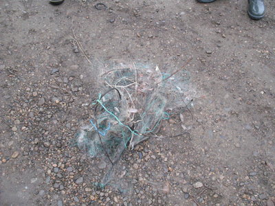 08.jpg