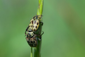 DSC_4494.jpg