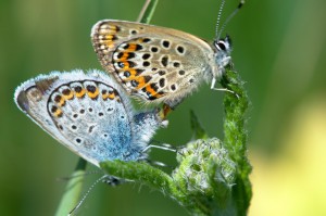 DSC_4552.jpg