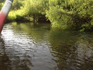 IMG_1449.JPG