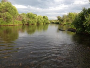 IMG_1450.JPG
