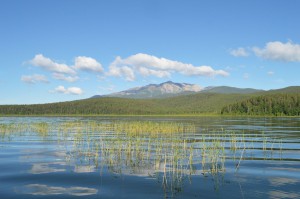 DSC_0078.JPG