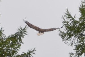 CSC_0253.JPG