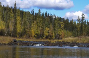 DSC_0119 (2).jpg