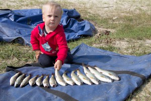 IMG_8646.jpg
