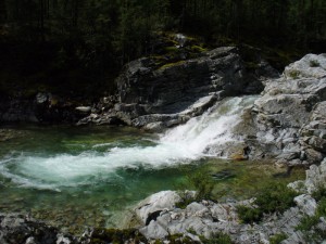 P1050255.JPG