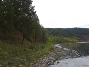 20130908_081829.jpg