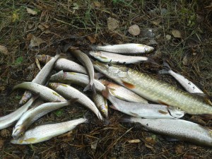 20130921_172953.jpg